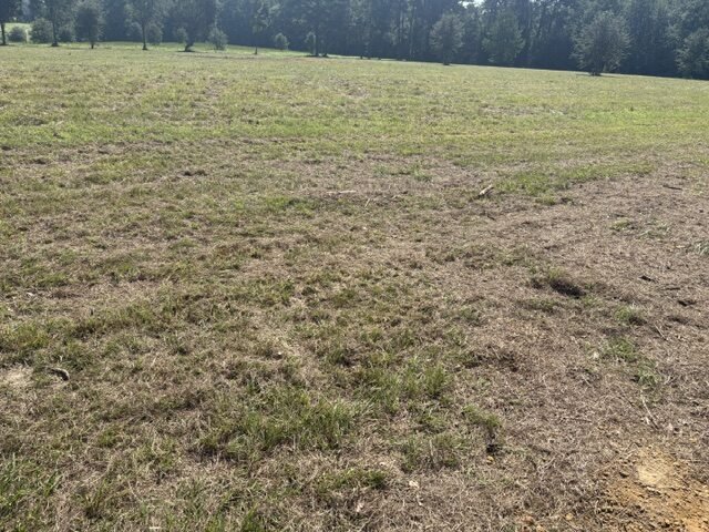 Open pasture on Section Road in Covington, LA before a new three-board fence